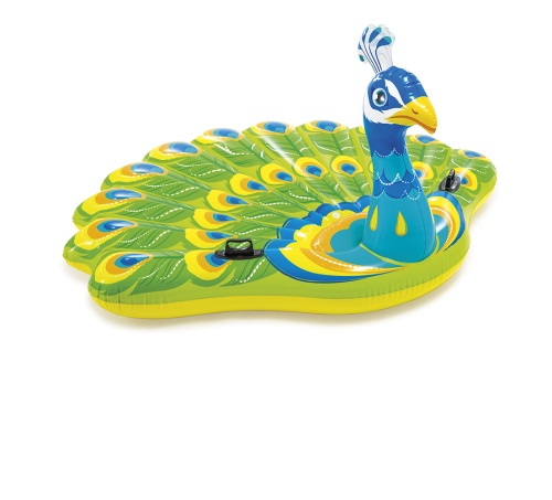 64ebaf22170de382bfdaf8c7005357c8