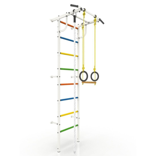 dsk-2s_roki-1c_pvhbelyj