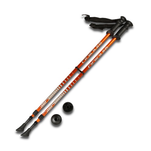 2gd1gxd05s838lmnk51eg6who547x88h