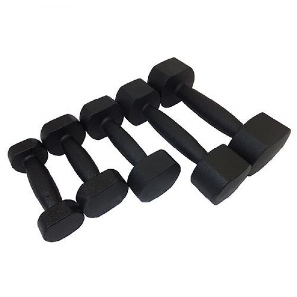 p10678_290283_gantel_celnolitaya_chugunnaya_8lb_3_63kg-600x600