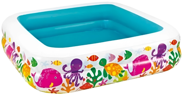 snapedit_1709016166937