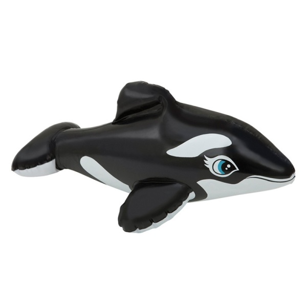 b079a726-7894-11e9-818c-00155d00f103_17fe5527-9047-11e9-818d-00155d00f103