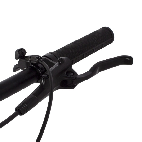 b0ada6deb4efa3cf755a45e8acf48e89