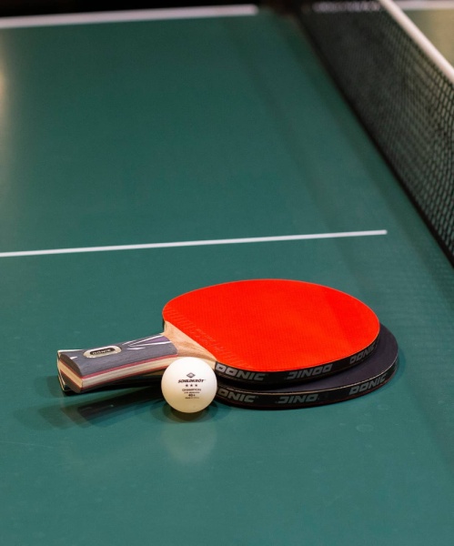 d5559e1dc81259576daa48688df13e94