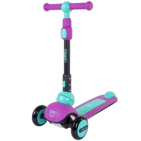 compass_2024_purple_celadon-500x500