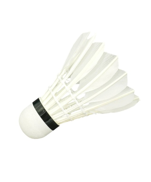 14b685f66d31d096deeecad8e60c9158