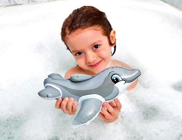 5vz5jhdx95fqbhdfystyjz33rt6vpkni