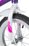 49562