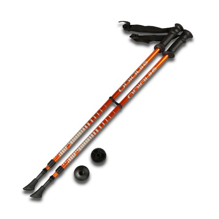 2gd1gxd05s838lmnk51eg6who547x88h