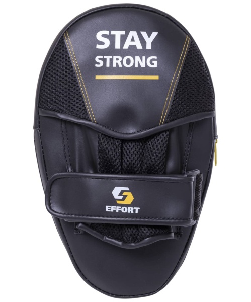 176b919341b86855a13b4654274d9700