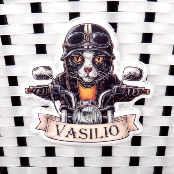 P 04 vasilio_4_11zon